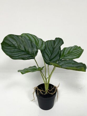 Artificial Table Plants  GS-46723047CONTI-G1 Potted Flowers&Plants 3,000+ sqm showroom with thousands of artificial flowers, plants & trees ready for global sourcing.