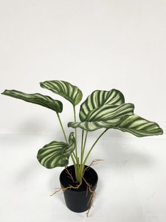 Artificial Table Plants  GS-46723047CONTI-G2 Potted Flowers&Plants 3,000+ sqm showroom with thousands of artificial flowers, plants & trees ready for global sourcing.