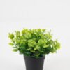Artificial Table Plants Leaf in PP pot GS-07023010KIK_3 Artificial Table Plants 22*22*25cm Leaf in PP pot GS-07023010KIK Potted Flowers&Plants YeahFlower is one of Chinese leading OEM manufacturers and exporters , supplying the silk flowers, wholesale artificial trees
