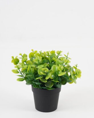 Artificial Table Plants 22*22*25cm Leaf in PP pot GS-07023010KIK Potted Flowers&Plants YeahFlower is one of Chinese leading OEM manufacturers and exporters , supplying the silk flowers, wholesale artificial trees Artificial Table Plants 22*22*25cm Leaf in PP pot GS-07023010KIK Potted Flowers&Plants YeahFlower is one of Chinese leading OEM manufacturers and exporters , supplying the silk flowers, wholesale artificial trees