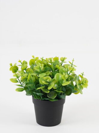 Artificial Table Plants 18*18*19cm Flower in PP pot GS-07023011KIK Potted Flowers&Plants 3,000+ sqm showroom with thousands of artificial flowers, plants & trees ready for global sourcing.