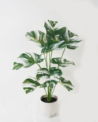 Artificial Table Plants 46*46*66cm Monstera in Ceramic pot GS-03323025 Potted Flowers&Plants YeahFlower is one of Chinese leading OEM manufacturers and exporters , supplying the silk flowers, wholesale artificial trees Artificial Table Plants 46*46*66cm Monstera in Ceramic pot GS-03323025 Potted Flowers&Plants YeahFlower is one of Chinese leading OEM manufacturers and exporters , supplying the silk flowers, wholesale artificial trees