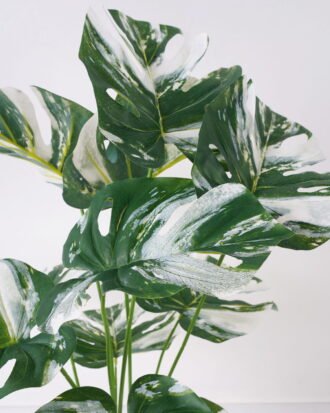 Artificial Table Plants 46*46*66cm Monstera in Ceramic pot GS-03323025 Potted Flowers&Plants YeahFlower is one of Chinese leading OEM manufacturers and exporters , supplying the silk flowers, wholesale artificial trees Artificial Table Plants 46*46*66cm Monstera in Ceramic pot GS-03323025 Potted Flowers&Plants YeahFlower is one of Chinese leading OEM manufacturers and exporters , supplying the silk flowers, wholesale artificial trees