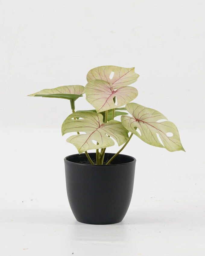 Artificial Table Plants 15*12*16cm Monstera in PP pot GS-03323105-G1 Potted Flowers&Plants YeahFlower is one of Chinese leading OEM manufacturers and exporters , supplying the silk flowers, wholesale artificial trees