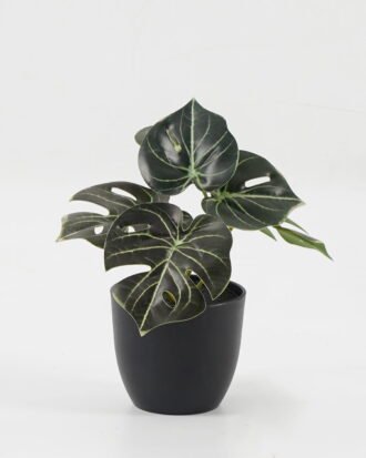 Artificial Table Plants 15*12*16cm Monstera in PP pot GS-03323105-G4 Potted Flowers&Plants YeahFlower is one of Chinese leading OEM manufacturers and exporters , supplying the silk flowers, wholesale artificial trees