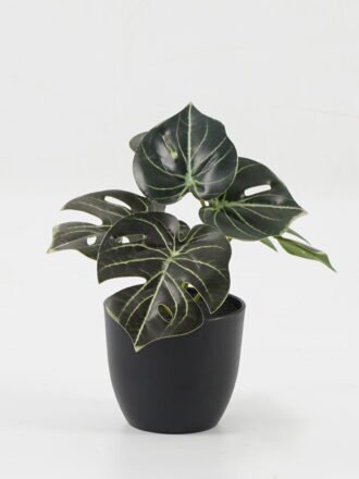 Artificial Table Plants 15*12*16cm Monstera in PP pot GS-03323105-G5 Potted Flowers&Plants 3,000+ sqm showroom with thousands of artificial flowers, plants & trees ready for global sourcing.