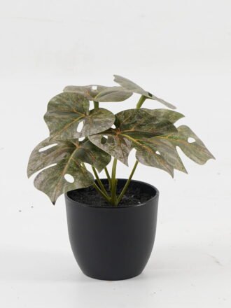 Artificial Table Plants 15*12*16cm Monstera in ceramic pot GS-03323106 Potted Flowers&Plants 3,000+ sqm showroom with thousands of artificial flowers, plants & trees ready for global sourcing.