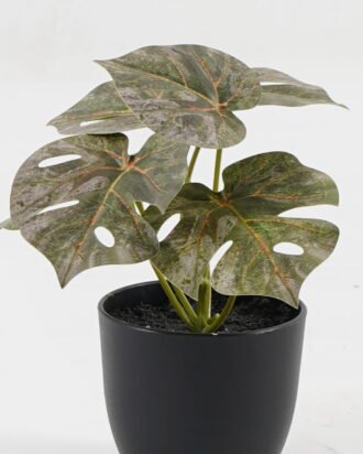 Artificial Table Plants 15*12*16cm Monstera in PP pot GS-03323105-G5 Potted Flowers&Plants YeahFlower is one of Chinese leading OEM manufacturers and exporters , supplying the silk flowers, wholesale artificial trees