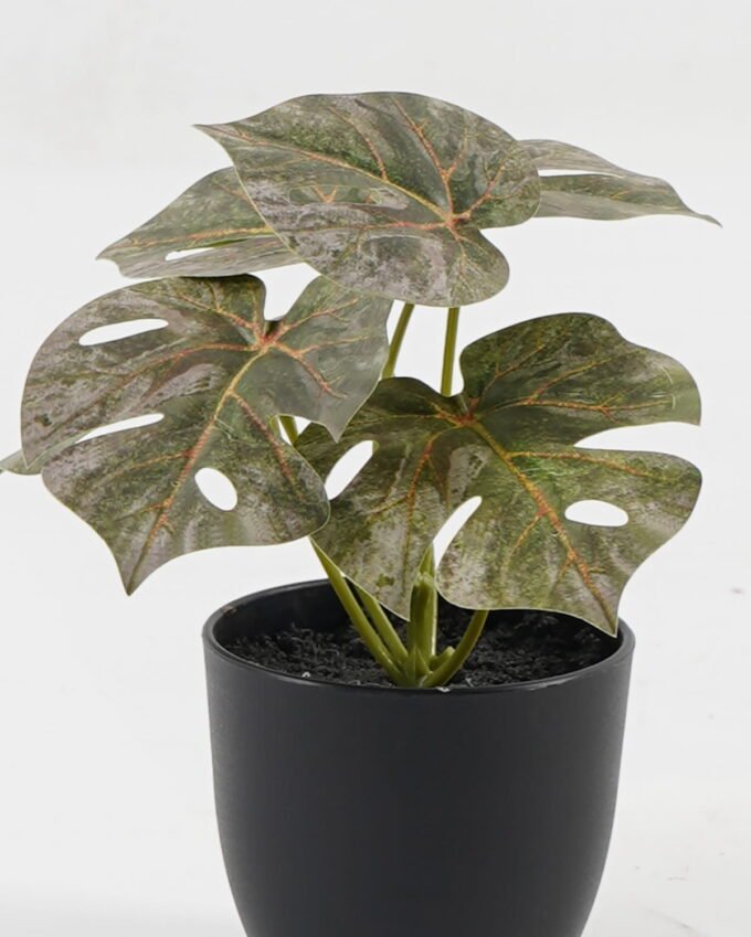 Artificial Table Plants 15*12*16cm Monstera in PP pot GS-03323105-G5 Potted Flowers&Plants YeahFlower is one of Chinese leading OEM manufacturers and exporters , supplying the silk flowers, wholesale artificial trees