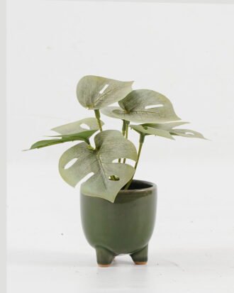 Artificial Table Plants 15*12*16cm Monstera in ceramic pot GS-03323106-G3 Potted Flowers&Plants YeahFlower is one of Chinese leading OEM manufacturers and exporters , supplying the silk flowers, wholesale artificial trees