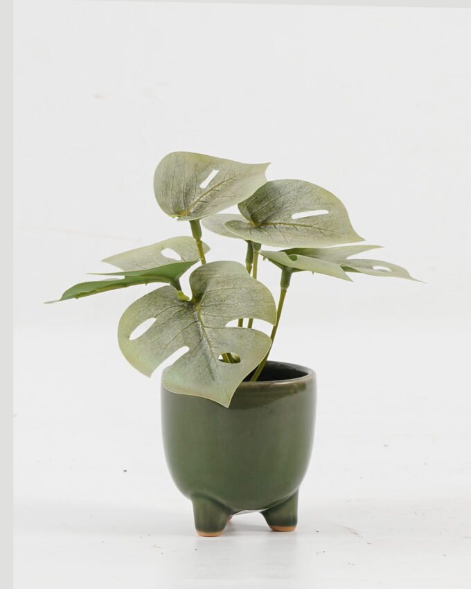 Artificial Table Plants 15*12*16cm Monstera in ceramic pot GS-03323106-G3 Potted Flowers&Plants YeahFlower is one of Chinese leading OEM manufacturers and exporters , supplying the silk flowers, wholesale artificial trees