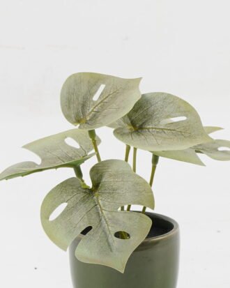 Artificial Table Plants 15*12*16cm Monstera in ceramic pot GS-03323106-G3 Potted Flowers&Plants YeahFlower is one of Chinese leading OEM manufacturers and exporters , supplying the silk flowers, wholesale artificial trees
