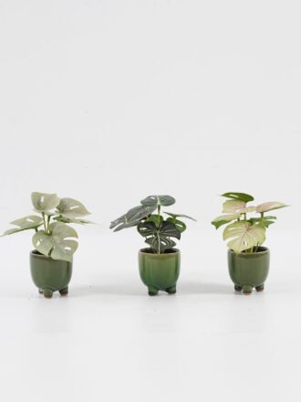 Artificial Table Plants 15*12*16cm Monstera in PP pot GS-03323105-G5 Potted Flowers&Plants 3,000+ sqm showroom with thousands of artificial flowers, plants & trees ready for global sourcing.
