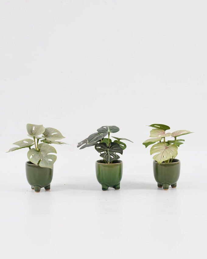 Artificial Table Plants 15*12*16cm Monstera in ceramic pot GS-03323106 Potted Flowers&Plants YeahFlower is one of Chinese leading OEM manufacturers and exporters , supplying the silk flowers, wholesale artificial trees