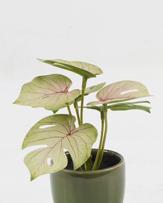 Artificial Table Plants 15*12*16cm Monstera in ceramic pot GS-03323106 Potted Flowers&Plants YeahFlower is one of Chinese leading OEM manufacturers and exporters , supplying the silk flowers, wholesale artificial trees
