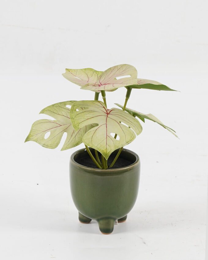 Artificial Table Plants 15*12*16cm Monstera in ceramic pot GS-03323106 Potted Flowers&Plants YeahFlower is one of Chinese leading OEM manufacturers and exporters , supplying the silk flowers, wholesale artificial trees