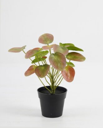 Artificial Table Plants 25*25*26cm Pilea peperomioides in PP pot GS-03323117-R1 Potted Flowers&Plants YeahFlower is one of Chinese leading OEM manufacturers and exporters , supplying the silk flowers, wholesale artificial trees Artificial Table Plants 25*25*26cm Pilea peperomioides in PP pot GS-03323117-R1 Potted Flowers&Plants YeahFlower is one of Chinese leading OEM manufacturers and exporters , supplying the silk flowers, wholesale artificial trees
