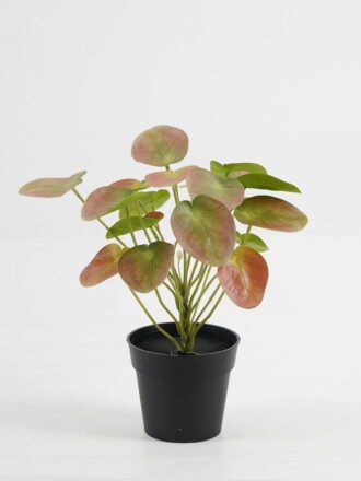 Artificial Table Plants 25*25*26cm Pilea peperomioides in PP pot GS-03323117 Potted Flowers&Plants 3,000+ sqm showroom with thousands of artificial flowers, plants & trees ready for global sourcing.