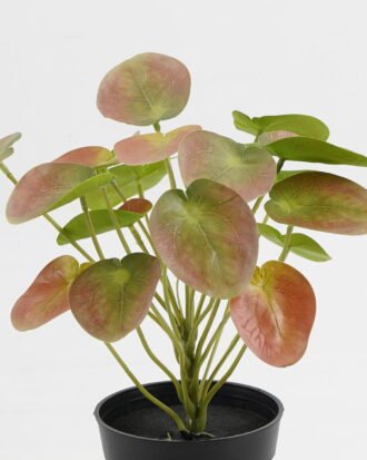 Artificial Table Plants 25*25*26cm Pilea peperomioides in PP pot GS-03323117-R1 Potted Flowers&Plants YeahFlower is one of Chinese leading OEM manufacturers and exporters , supplying the silk flowers, wholesale artificial trees Artificial Table Plants 25*25*26cm Pilea peperomioides in PP pot GS-03323117-R1 Potted Flowers&Plants YeahFlower is one of Chinese leading OEM manufacturers and exporters , supplying the silk flowers, wholesale artificial trees