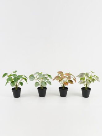 Artificial Table Plants 25*25*26cm Pilea peperomioides in PP pot GS-03323117-R1 Potted Flowers&Plants 3,000+ sqm showroom with thousands of artificial flowers, plants & trees ready for global sourcing.