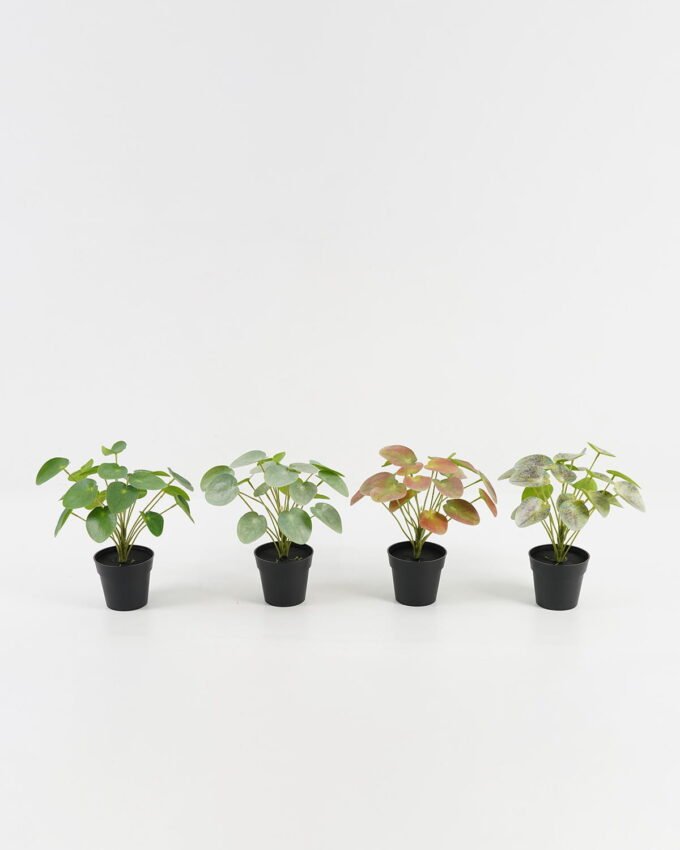 Artificial Table Plants 25*25*26cm Pilea peperomioides in PP pot GS-03323117 Potted Flowers&Plants YeahFlower is one of Chinese leading OEM manufacturers and exporters , supplying the silk flowers, wholesale artificial trees