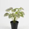 Artificial Table Plants 25*25*26cm Pilea peperomioides in PP pot GS-03323117 Potted Flowers&Plants YeahFlower is one of Chinese leading OEM manufacturers and exporters , supplying the silk flowers, wholesale artificial trees