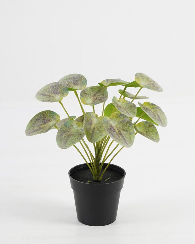 Artificial Table Plants 25*25*26cm Pilea peperomioides in PP pot GS-03323117 Potted Flowers&Plants YeahFlower is one of Chinese leading OEM manufacturers and exporters , supplying the silk flowers, wholesale artificial trees