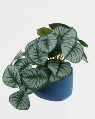 Artificial Table Plants 20*17*16cm Real Touch Mini Taro leaf in Cement pot GS-03321067RP Potted Flowers&Plants YeahFlower is one of Chinese leading OEM manufacturers and exporters , supplying the silk flowers, wholesale artificial trees Artificial Table Plants 20*17*16cm Real Touch Mini Taro leaf in Cement pot GS-03321067RP Potted Flowers&Plants YeahFlower is one of Chinese leading OEM manufacturers and exporters , supplying the silk flowers, wholesale artificial trees