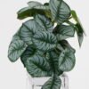 Artificial Table Plants Real Touch Mini Taro leaf in Cement pot GS-03321067RP_3 Artificial Table Plants 20*17*16cm Real Touch Mini Taro leaf in Cement pot GS-03321067RP Potted Flowers&Plants YeahFlower is one of Chinese leading OEM manufacturers and exporters , supplying the silk flowers, wholesale artificial trees