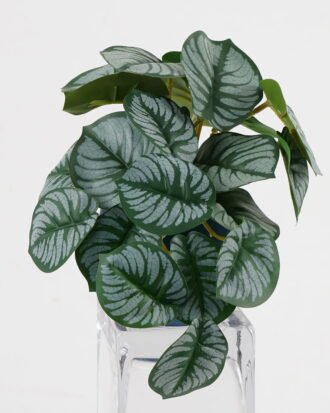 Artificial Table Plants 20*17*16cm Real Touch Mini Taro leaf in Cement pot GS-03321067RP Potted Flowers&Plants YeahFlower is one of Chinese leading OEM manufacturers and exporters , supplying the silk flowers, wholesale artificial trees Artificial Table Plants 20*17*16cm Real Touch Mini Taro leaf in Cement pot GS-03321067RP Potted Flowers&Plants YeahFlower is one of Chinese leading OEM manufacturers and exporters , supplying the silk flowers, wholesale artificial trees