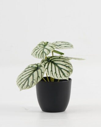 Artificial Table Plants 15*12*16cm Taro in PP pot GS-03323107-G3 Potted Flowers&Plants YeahFlower is one of Chinese leading OEM manufacturers and exporters , supplying the silk flowers, wholesale artificial trees