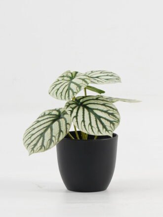 Artificial Table Plants 15*12*16cm Monstera in ceramic pot GS-03323106-G3 Potted Flowers&Plants 3,000+ sqm showroom with thousands of artificial flowers, plants & trees ready for global sourcing.