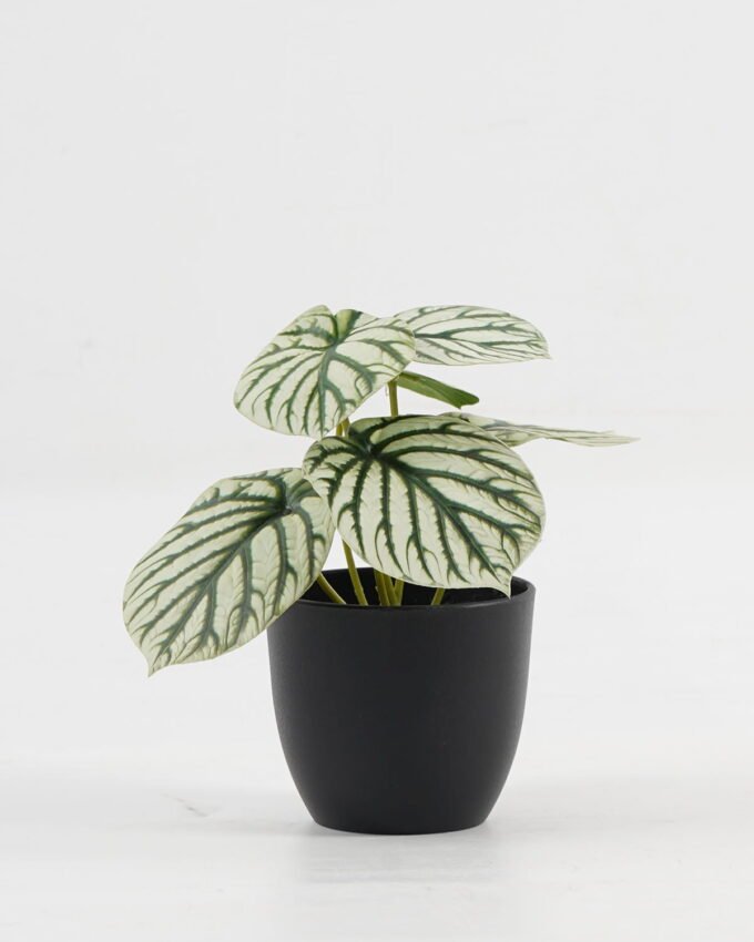 Artificial Table Plants 15*12*16cm Taro in PP pot GS-03323107-G3 Potted Flowers&Plants YeahFlower is one of Chinese leading OEM manufacturers and exporters , supplying the silk flowers, wholesale artificial trees