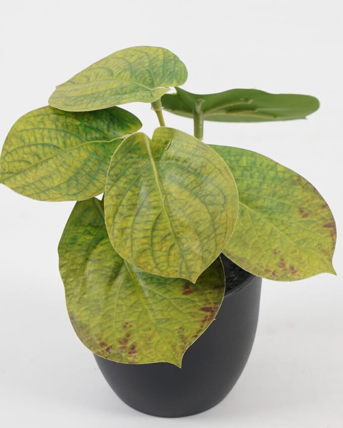 Artificial Table Plants 15*12*16cm Taro in PP pot GS-03323107-G4 Potted Flowers&Plants YeahFlower is one of Chinese leading OEM manufacturers and exporters , supplying the silk flowers, wholesale artificial trees