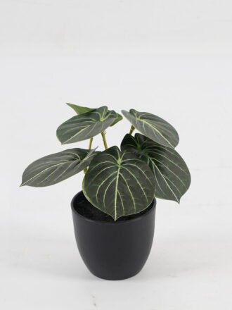 Artificial Table Plants 15*12*16cm Taro in PP pot GS-03323107-G4 Potted Flowers&Plants 3,000+ sqm showroom with thousands of artificial flowers, plants & trees ready for global sourcing.