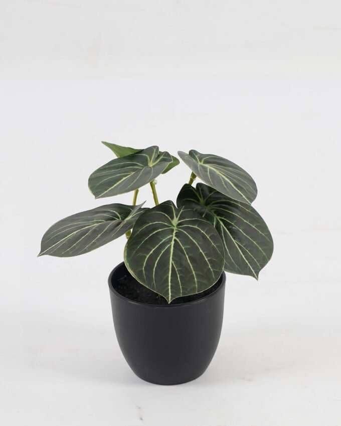 Artificial Table Plants 15*12*16cm Taro in PP pot GS-03323107-G5 Potted Flowers&Plants YeahFlower is one of Chinese leading OEM manufacturers and exporters , supplying the silk flowers, wholesale artificial trees