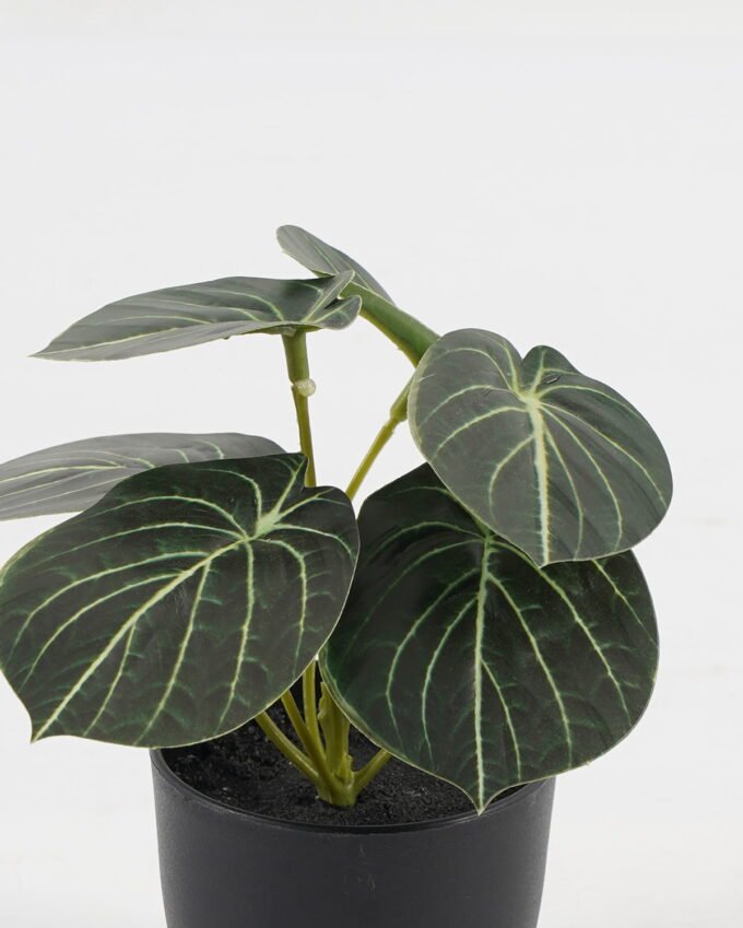 Artificial Table Plants 15*12*16cm Taro in PP pot GS-03323107-G5 Potted Flowers&Plants YeahFlower is one of Chinese leading OEM manufacturers and exporters , supplying the silk flowers, wholesale artificial trees