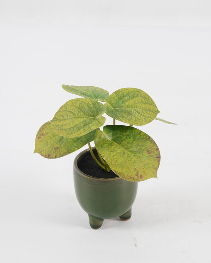 Artificial Table Plants Taro in ceramic pot GS-03323108_3 Artificial Table Plants 15*12*16cm Taro in ceramic pot GS-03323108 Potted Flowers&Plants YeahFlower is one of Chinese leading OEM manufacturers and exporters , supplying the silk flowers, wholesale artificial trees