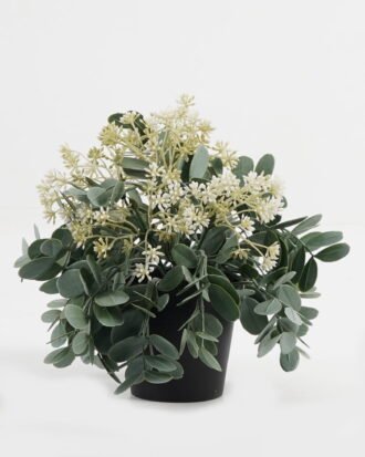 Artificial Table Plants 24*24*22cm Wild berry grass in PP pot GS-03323116-W1 Potted Flowers&Plants YeahFlower is one of Chinese leading OEM manufacturers and exporters , supplying the silk flowers, wholesale artificial trees Artificial Table Plants 24*24*22cm Wild berry grass in PP pot GS-03323116-W1 Potted Flowers&Plants YeahFlower is one of Chinese leading OEM manufacturers and exporters , supplying the silk flowers, wholesale artificial trees