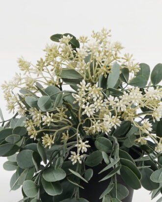 Artificial Table Plants 24*24*22cm Wild berry grass in PP pot GS-03323116-W1 Potted Flowers&Plants YeahFlower is one of Chinese leading OEM manufacturers and exporters , supplying the silk flowers, wholesale artificial trees Artificial Table Plants 24*24*22cm Wild berry grass in PP pot GS-03323116-W1 Potted Flowers&Plants YeahFlower is one of Chinese leading OEM manufacturers and exporters , supplying the silk flowers, wholesale artificial trees