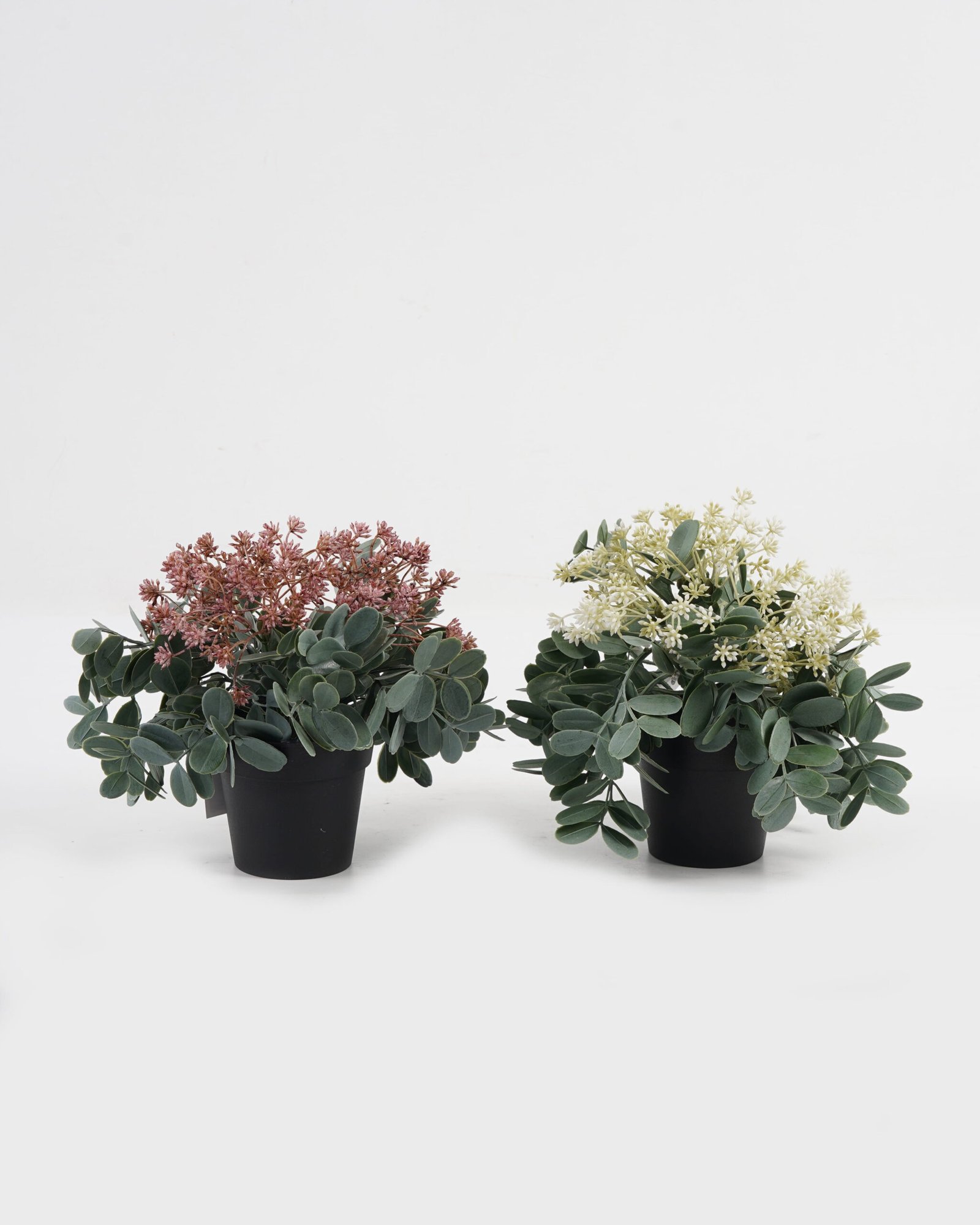 Artificial Table Plants 24*24*22cm Wild berry grass in PP pot GS-03323116 Potted Flowers&Plants YeahFlower is one of Chinese leading OEM manufacturers and exporters , supplying the silk flowers, wholesale artificial trees Artificial Table Plants 24*24*22cm Wild berry grass in PP pot GS-03323116 Potted Flowers&Plants YeahFlower is one of Chinese leading OEM manufacturers and exporters , supplying the silk flowers, wholesale artificial trees