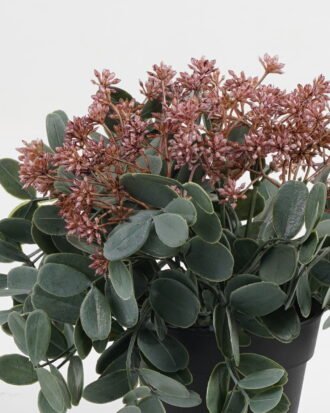 Artificial Table Plants 24*24*22cm Wild berry grass in PP pot GS-03323116 Potted Flowers&Plants YeahFlower is one of Chinese leading OEM manufacturers and exporters , supplying the silk flowers, wholesale artificial trees Artificial Table Plants 24*24*22cm Wild berry grass in PP pot GS-03323116 Potted Flowers&Plants YeahFlower is one of Chinese leading OEM manufacturers and exporters , supplying the silk flowers, wholesale artificial trees