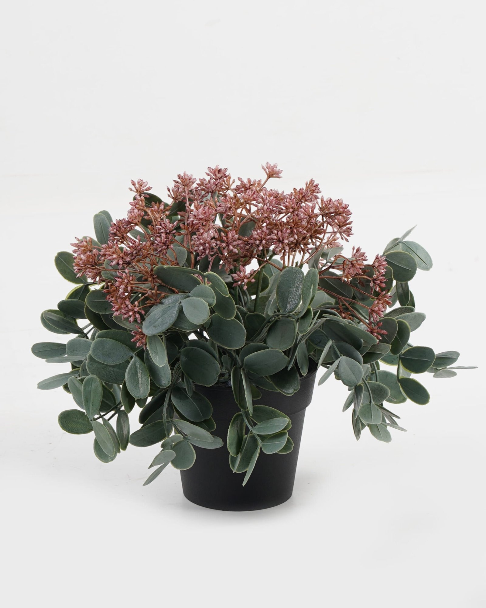 Artificial-Table-Plants-Wild-berry-grass-in-PP-pot-GS-03323116_3-1.jpg Artificial Table Plants 24*24*22cm Wild berry grass in PP pot GS-03323116 Potted Flowers&Plants YeahFlower is one of Chinese leading OEM manufacturers and exporters , supplying the silk flowers, wholesale artificial trees