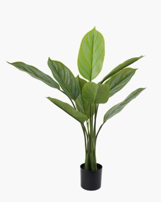 Artificial Tree 70*70*90cm Arrowroot in PP pot/9 lvs GS-66423015CONTI Tree&Plant 3,000+ sqm showroom with thousands of artificial flowers, plants & trees ready for global sourcing.