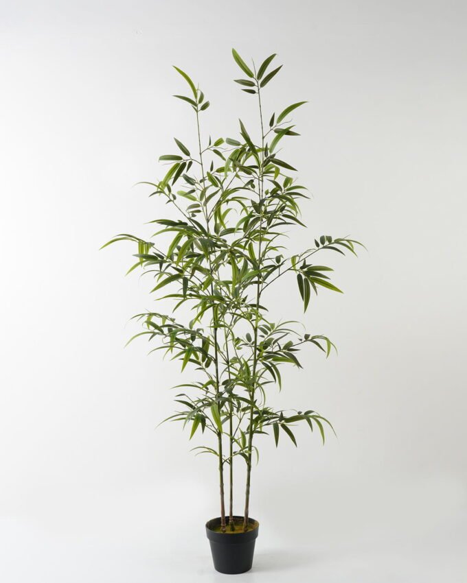 Artificial Tree 56*56*155cm Bamboo *3 in PP pot/519 lvs GS-71023003 Tree&Plant YeahFlower is one of Chinese leading OEM manufacturers and exporters , supplying the silk flowers, wholesale artificial trees