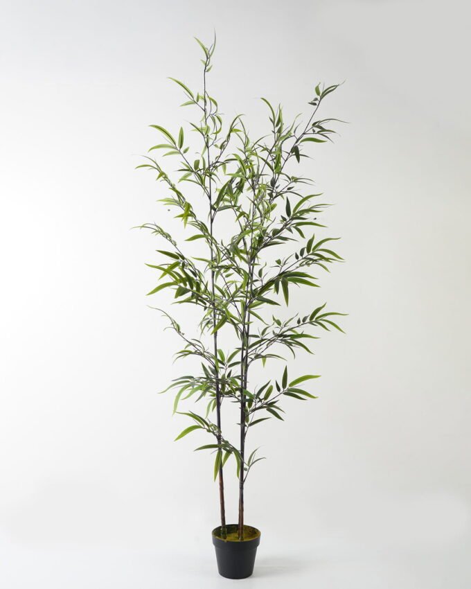 Artificial Tree Bamboo 3 in PP pot 627 lvs GS-71023002-KD_3 Artificial Tree 68*68*190cm Bamboo *3 in PP pot/627 lvs GS-71023002-KD Tree&Plant YeahFlower is one of Chinese leading OEM manufacturers and exporters , supplying the silk flowers, wholesale artificial trees