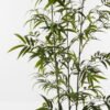 Artificial Tree Bamboo 3 in PP pot 868 lvs GS-71023001-G1_3 Artificial Tree 86*86*235cm Bamboo *3 in PP pot/868 lvs GS-71023001-G1 Tree&Plant YeahFlower is one of Chinese leading OEM manufacturers and exporters , supplying the silk flowers, wholesale artificial trees