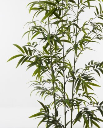 Artificial Tree 86*86*235cm Bamboo *3 in PP pot/868 lvs GS-71023001-G1 Tree&Plant 3,000+ sqm showroom with thousands of artificial flowers, plants & trees ready for global sourcing.