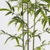Artificial Tree Bamboo 3 in PP pot 868 lvs GS-71023001-G2_6 Artificial Tree 86*86*235cm Bamboo *3 in PP pot/868 lvs GS-71023001-G2 Tree&Plant YeahFlower is one of Chinese leading OEM manufacturers and exporters , supplying the silk flowers, wholesale artificial trees