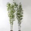 Artificial Tree Bamboo 3 in PP pot 868 lvs GS-71023001-KD Artificial Tree 86*86*235cm Bamboo *3 in PP pot/868 lvs GS-71023001-KD Tree&Plant YeahFlower is one of Chinese leading OEM manufacturers and exporters , supplying the silk flowers, wholesale artificial trees